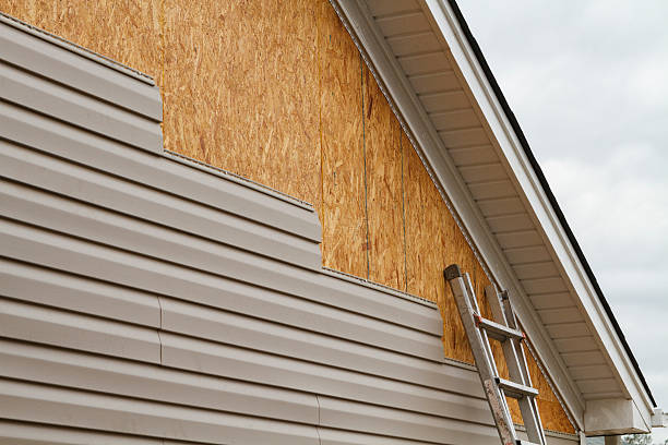 Professional Wood Siding technician working in Saint Paul Park, MN